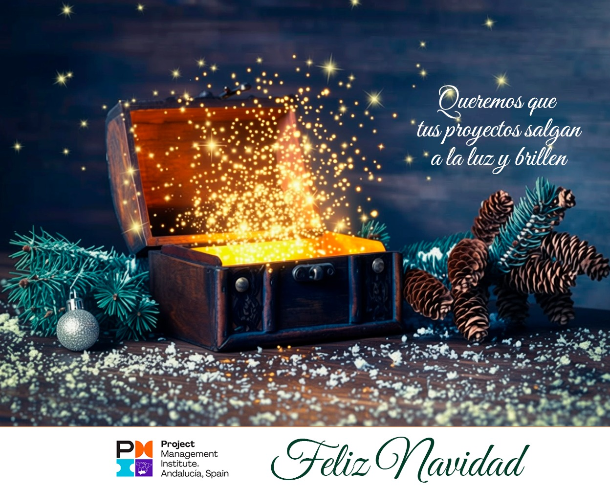 navidad_pmi.png